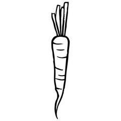 Carrot cartoon illustration