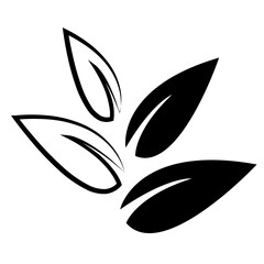 black and green leaf