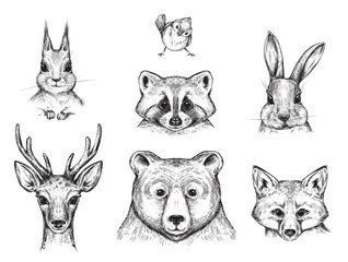 Vector collection of hand drawn funny animals in black and white sketch style.