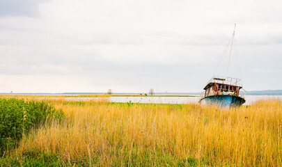 Old shipwreck near Lubczyna in Poland. Landscape with an abandoned capsized boat. Nature at Dabie...