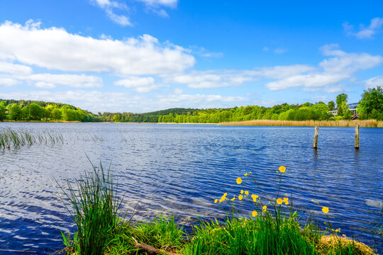 View of Lake Wiselka, Neuendorfer See. Landscape on the island of Wolin. Nature in West Pomerania.

