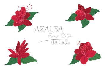 illustration of red azalea flowers. simple flat design.