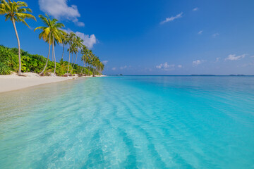 Amazing sunny panorama at Maldives. Luxury resort seascape. Majestic sea waves coconut palm trees sand sunshine sky. Beauty paradise beach popular destination. Best summer vacation travel background - obrazy, fototapety, plakaty