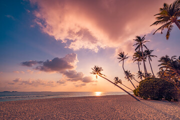 Best island beach. Silhouette palm trees panoramic destination landscape. Inspire sea sand popular vacation tropical beach seascape horizon. Orange gold sunset sky. Calm tranquil relax summer travel