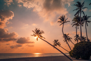 Best island beach. Silhouette palm trees panoramic destination landscape. Inspire sea sand popular vacation tropical beach seascape horizon. Orange gold sunset sky. Calm tranquil relax summer travel