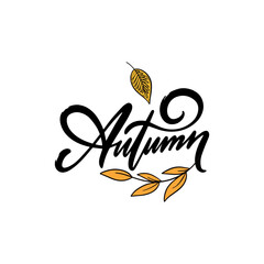 Autumn word letter. Hand drawn calligraphy style text.