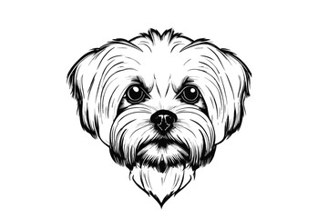 Charming Companion: Maltese Dog's Head in Vector, Showcasing Their Loveliness