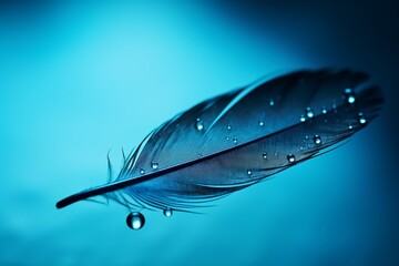 Turquoise Tranquility: Silhouetted Black Bird Feather with Glistening Water Drops