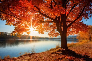 Autumn's Splendor: Picturesque Landscape with Sun, Blue Sky, and Vibrant Red and Orange Trees