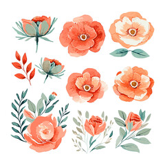 Set of watercolour coral florals clip arts isolated on background
