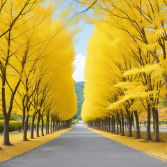 Row of yellow ginkgo trees 