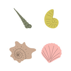 Tropical underwater seashell. Hand drawn sea mollusk shellfish element. Vector illustration in scandinavian style.