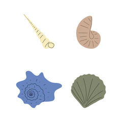 Tropical underwater seashell. Hand drawn sea mollusk shellfish element. Vector illustration in scandinavian style.