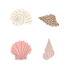 Tropical underwater seashell. Hand drawn sea mollusk shellfish element. Vector illustration in scandinavian style.