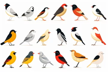 Fotobehang Flat design vector birds icon set. Popular birding species collection. Exotic bird set in flat design. Vector illustration © Fabien