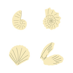 Tropical underwater seashell. Hand drawn sea mollusk shellfish element. Vector illustration in scandinavian style.