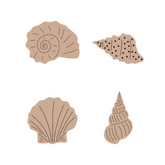 Tropical underwater seashell. Hand drawn sea mollusk shellfish element. Vector illustration in scandinavian style.