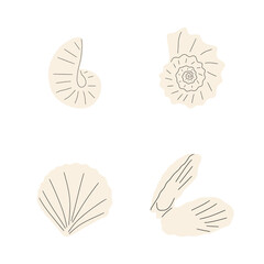 Tropical underwater seashell. Hand drawn sea mollusk shellfish element. Vector illustration in scandinavian style.