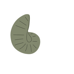 Tropical underwater seashell. Hand drawn sea mollusk shellfish element. Vector illustration in scandinavian style.