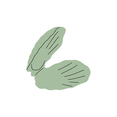 Tropical underwater seashell. Hand drawn sea mollusk shellfish element. Vector illustration in scandinavian style.