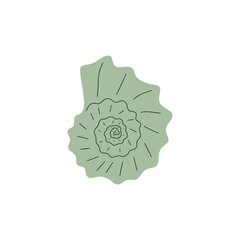 Tropical underwater seashell. Hand drawn sea mollusk shellfish element. Vector illustration in scandinavian style.