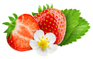 Strawberry isolated on white background, full depth of field