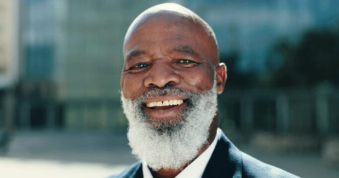 Senior, businessman and smile on face outdoor with accountant at building with pride in success at workplace. Happy, portrait and mature entrepreneur, ceo or executive with confidence in accounting