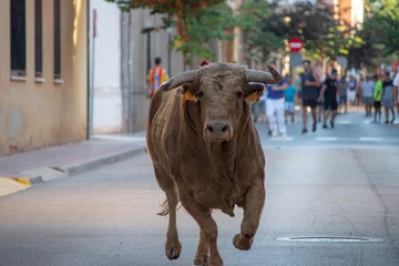 Selbstklebende Fototapeten Bous al carrer street bull, ancestral tradition in Valencia Spain villages. A brave bull runs through the streets while the mozos are running. Runners in Encierro like San Fermin. Albuixech holidays. © Mer Sanchez