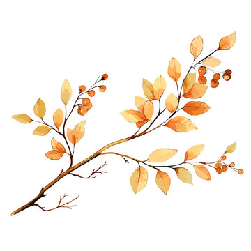 recommend clip art: Aquarell brauner Zweige vektor	