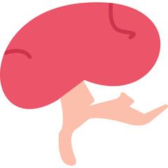 Spleen Icon