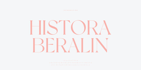 Elegant alphabet letters font and number. Classic Lettering Minimal Fashion Designs. Typography modern serif fonts regular decorative vintage concept. vector illustration