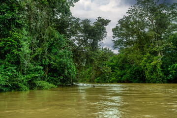 River Rio Frio channel with beautiful landscape of rainforest , POV view from canoe boat. Refugio...
