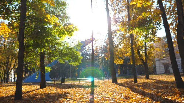 View on beautiful autumn park with fallen yellow leaves around. Scenic landscape with bright sunlight at background. Sunny day in urban park. Colorful fall season. Slow motion Dolly shot