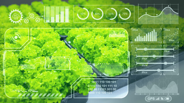 Green salad overlay modern chart graphics HUD for digital computer IOT technology in agriculture farm plant grow analysis concept