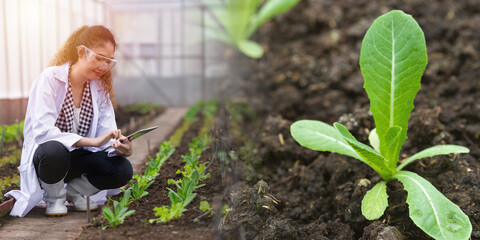 Bio Scientist research in agriculture farm science for develop farming tracking plant grow wide...