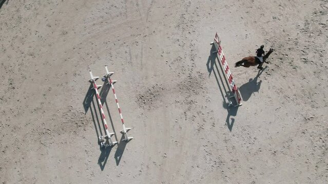 Horse Jumping Compitition Equestrian
