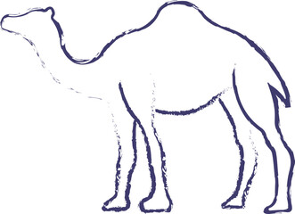 Camel hand drawn vector illustration