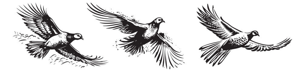 Wild bird, pheasant vector illustration silhouette laser cutting black and white shape - obrazy, fototapety, plakaty