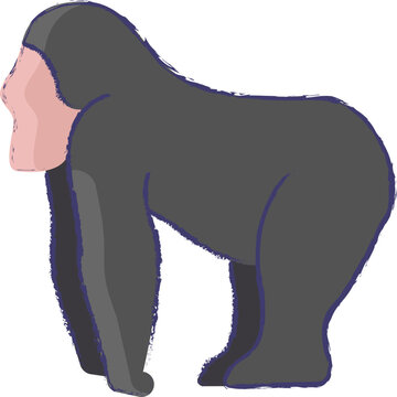 Gorilla hand drawn vector illustration