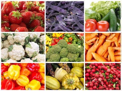 Collage of diverse local products images featuring fresh organic fruit and vegetables