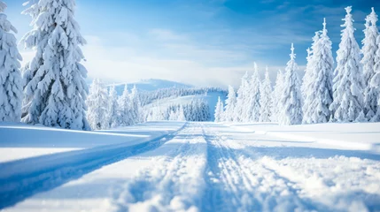Poster Ski season: a trail among snowy pines in winter © Paula