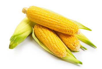several ripe ears of corn isolated on white background
