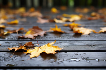 Seasonal Serenity: Autumn Leaves on Black Timber