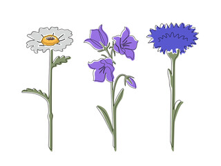 One daisy, a bell, a cornflower with a black outline with abstract spots are painted in the linart style on a white background