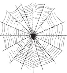 Fototapeta premium Vector illustration of cobweb isolated on white background spider web vector halloween element 