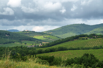 Fototapeta na wymiar Vineyards of Chianti near Gaiole, Siena province