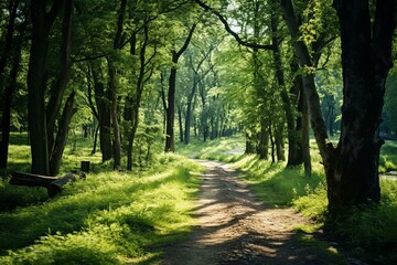 Fototapeta na wymiar A view of a path amid a green forest. Generative AI