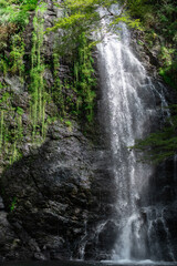 Minoh Falls, Osaka, Japan in summer