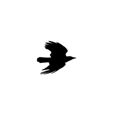 Black crow flies fast in the sky, silhouette photo isolated on white