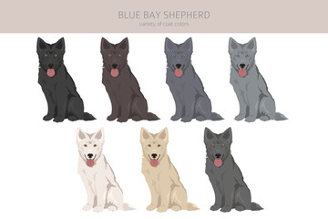 Blue Bay Shepherd clipart. Blue Shepherd wolf dog mix. Different coat colors set